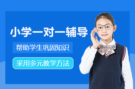 北京论思教育_北京小学一对一辅导班