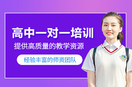 北京论思教育_北京高中一对一培训班