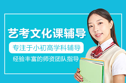 北京论思教育_北京艺考文化课辅导班