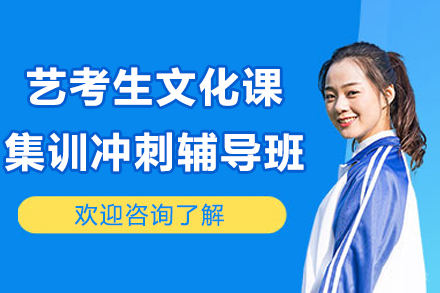 杭州艺考生文化课集训冲刺辅导班