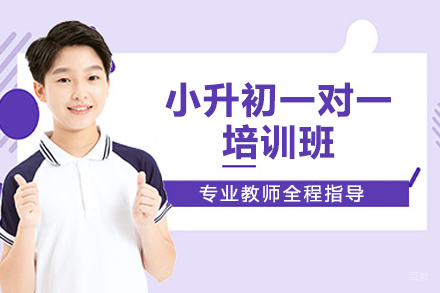 深圳小升初一对一培训班
