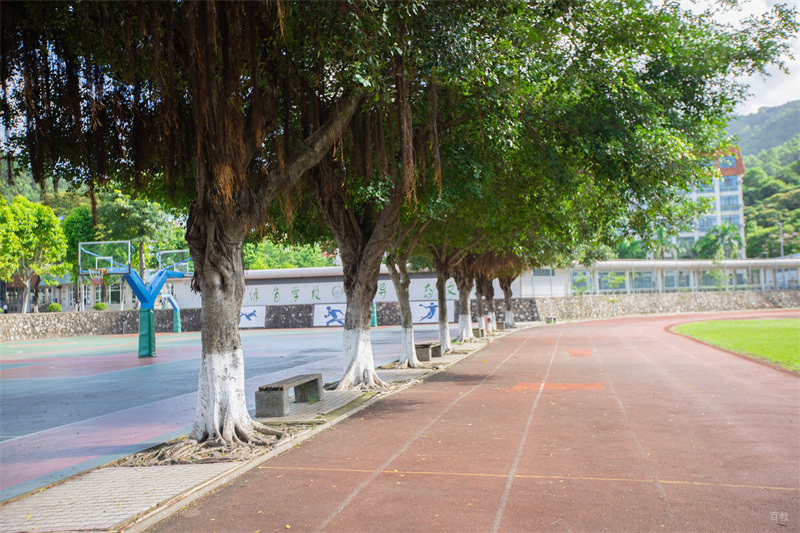 学校操场跑道环境