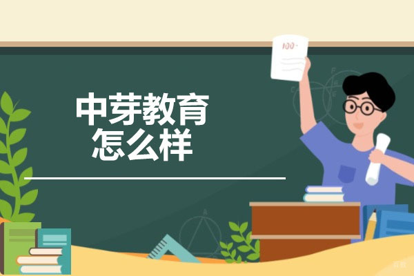 济南资格认证-济南中芽教育怎么样
