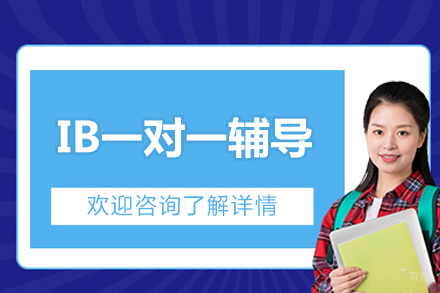 北京IB一对一辅导