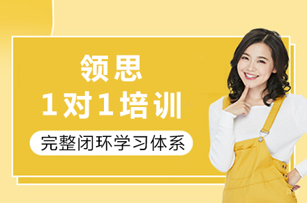 成都领思1对1培训