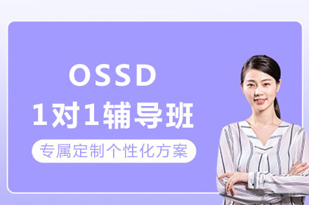 成都OSSD1对1辅导班