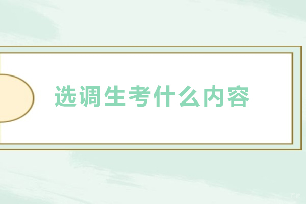选调生考什么内容-选调生考试内容是什么