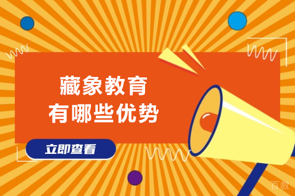 成都藏象教育有哪些优势-有哪些课程