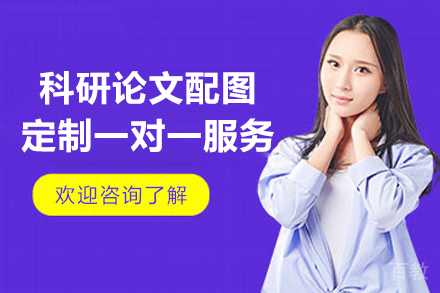科研论文配图定制一对一服务