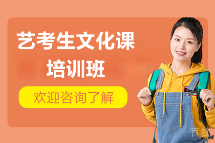 广州艺考生文化课培训班