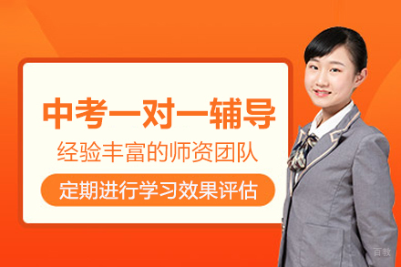 北京中考一对一辅导班
