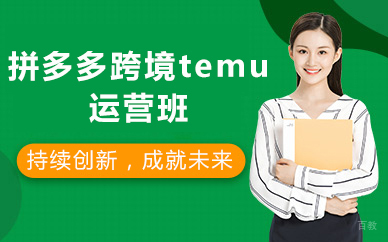 北京拼多多跨境temu运营班