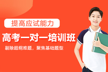 北京高考一对一培训班