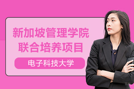 成都电子科技大学新加坡管理学院联合培养项目