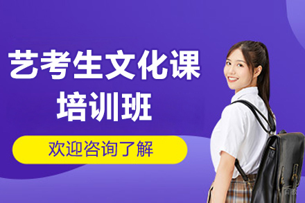 广州艺考生文化课培训班