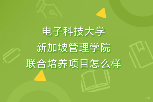 成都新加坡留学-成都电子科技大学新加坡管理学院联合培养项目怎么样