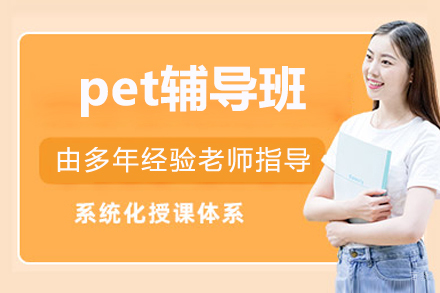 北京pet辅导班