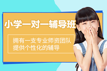 北京小学一对一辅导班