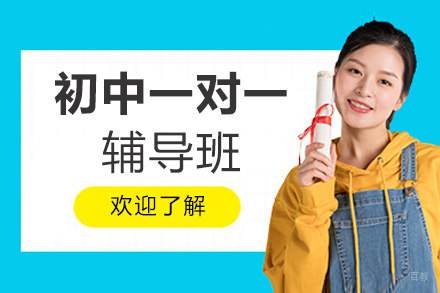 北京初中一对一辅导班