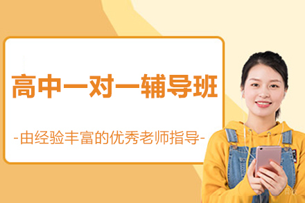 北京高中一对一辅导班