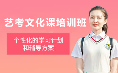 北京艺考文化课培训班
