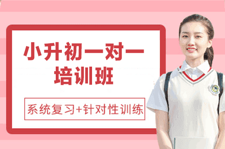 乌鲁木齐新梦想教育_乌鲁木齐小升初一对一培训班