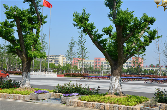 学校绿化环境