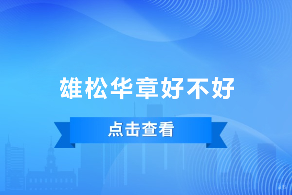 广州雄松华章好不好