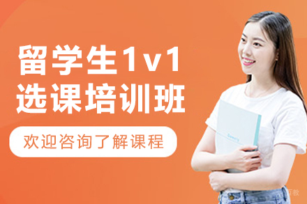 大连留学生1v1选课培训班