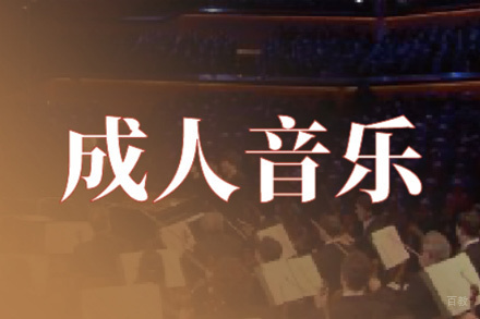 西安成人音乐培训班
