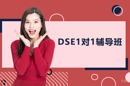 深圳市DSE1对1辅导班