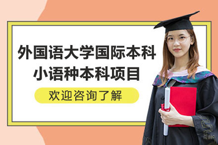 上海外国语大学国际本科小语种本科项目