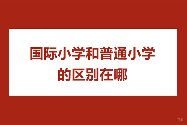 苏州国际课程-国际小学和普通小学的区别在哪