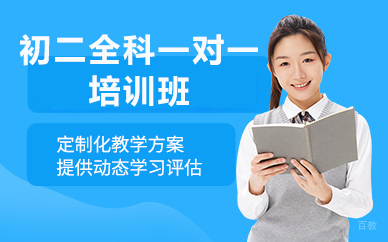 北京初二全科一对一培训班