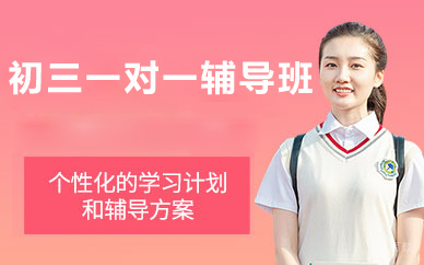 北京初三一对一辅导班