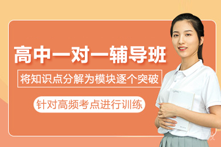 北京高中一对一辅导班