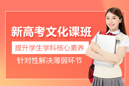 武汉新高考文化课培训班