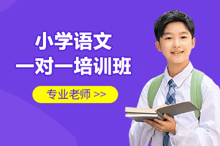 南昌小学语文一对一培训班