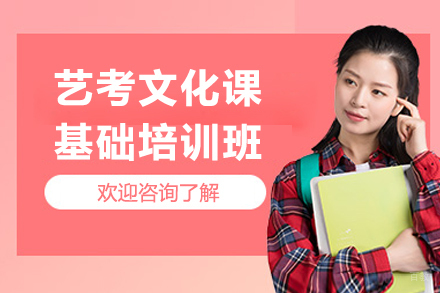 成都艺考文化课基础培训