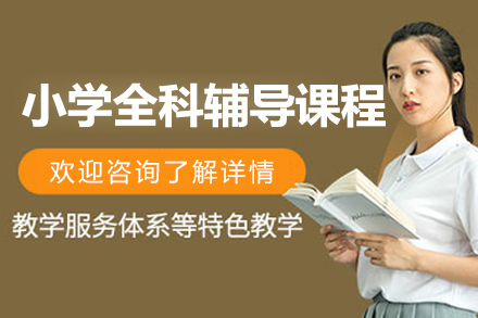 上海小学全科精品辅导课程
