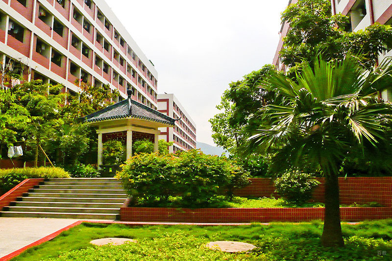 学校环境1
