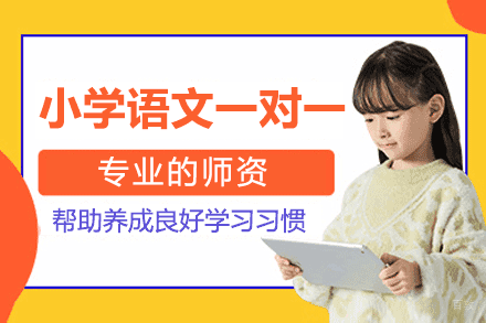 郑州小学语文一对一培训班