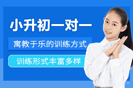 郑州小升初一对一培训班