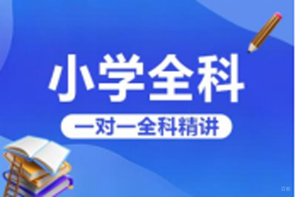 小学全科一对一辅导