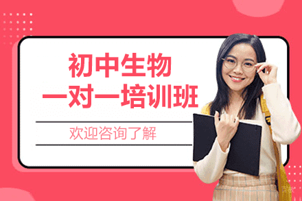 厦门初中生物一对一培训班