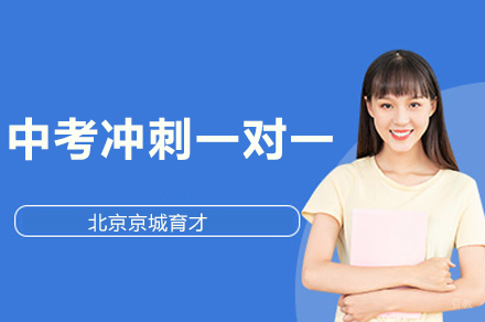 中考冲刺一对一辅导