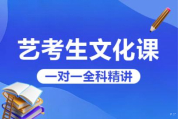 艺考生文化课一对一辅导