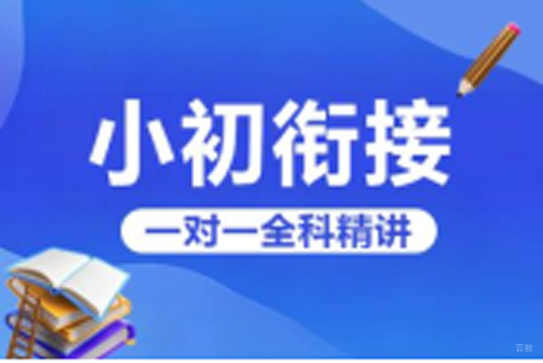 小升初衔接班一对一辅导