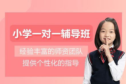 北京小学全科一对一辅导班
