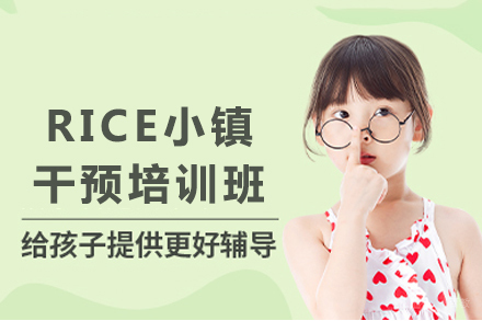 重庆RICE小镇干预培训